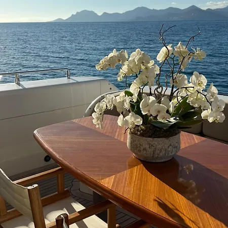 Palme Yacht - Port Canto - Pointe Croisette - Face A La 船屋 戛纳